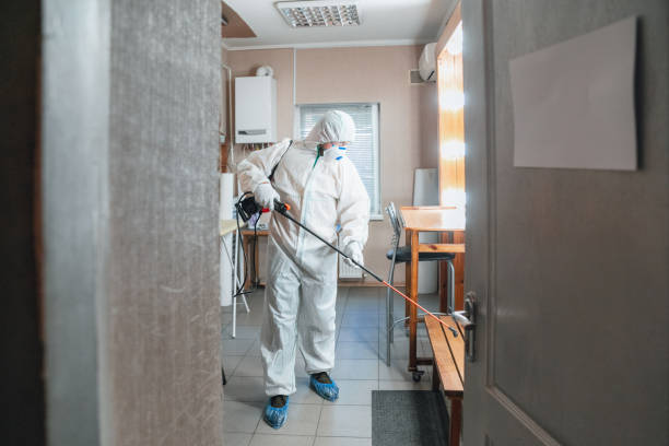 Best Residential Mold Inspection & Testing  in USA